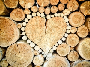 Il Legno
